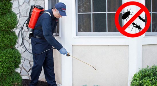Mazgirt Karınca İlaçlama böcek ilaçlama ve haşere kontrolü — ilaclama-tr.com